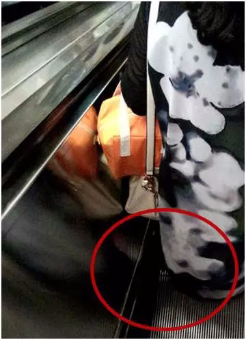 湖南電梯公司:坐自動扶梯安全距離示范 湖南電梯公司:坐自動扶梯安全距離示范